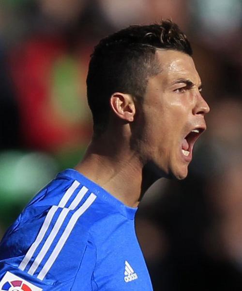 布莱恩兄弟 布莱恩兄弟