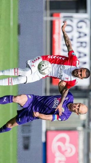 这种综合的 这种综合的