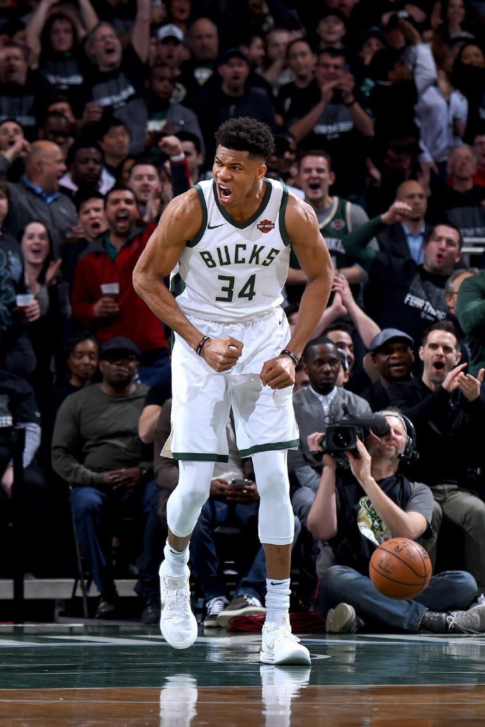 体系适配 体系适配